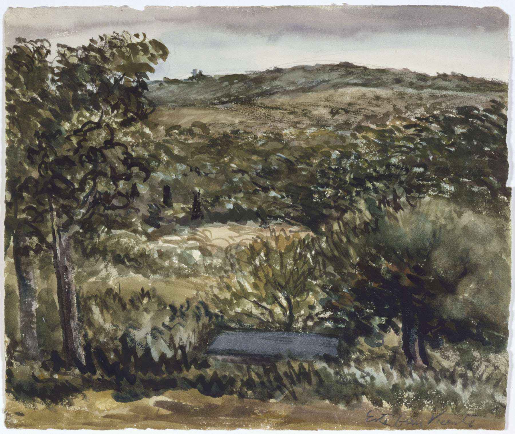 Untitled (Martha's Vineyard)