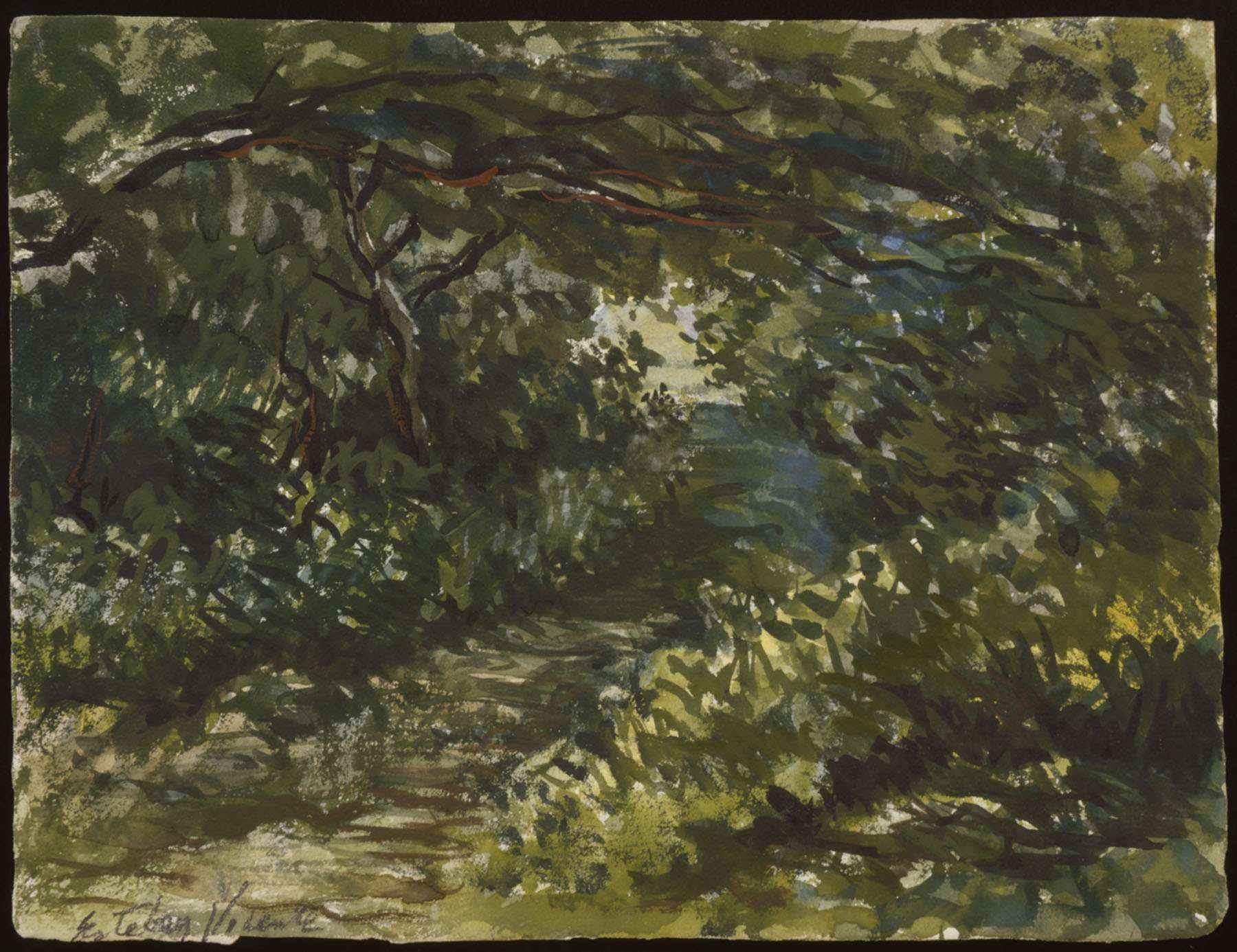 Untitled (Martha's Vineyard)