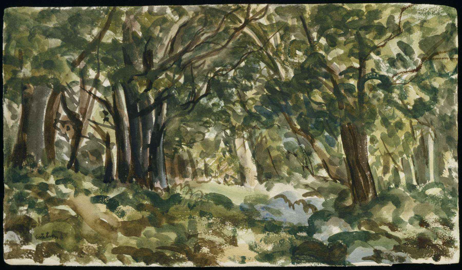 Morning in the Woods