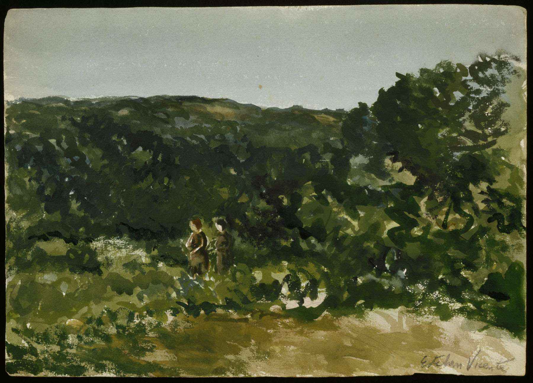 Untitled (Martha's Vineyard)