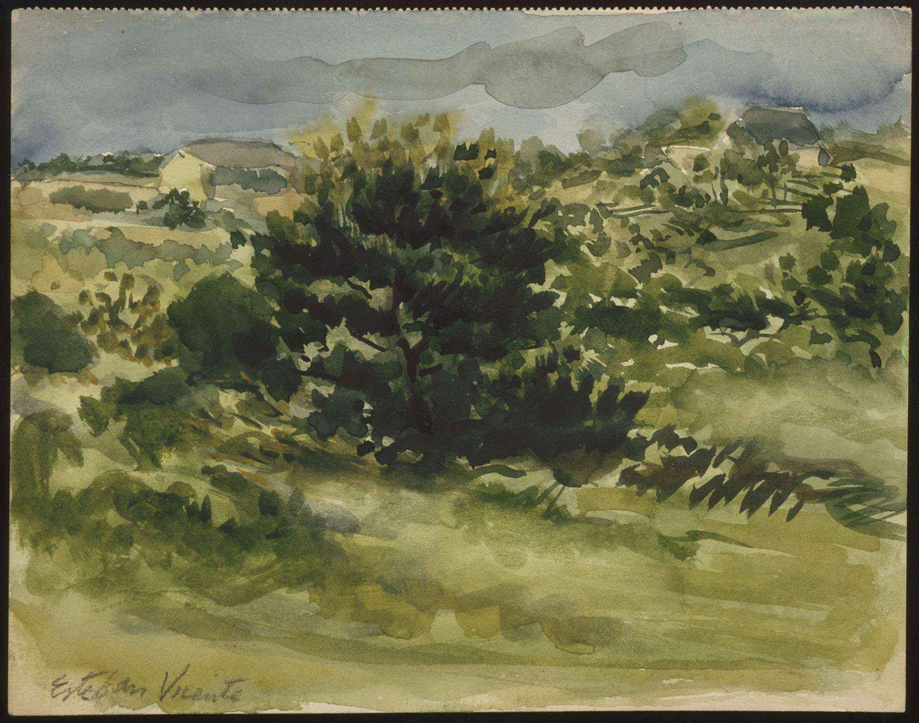 Untitled (Martha's Vineyard)