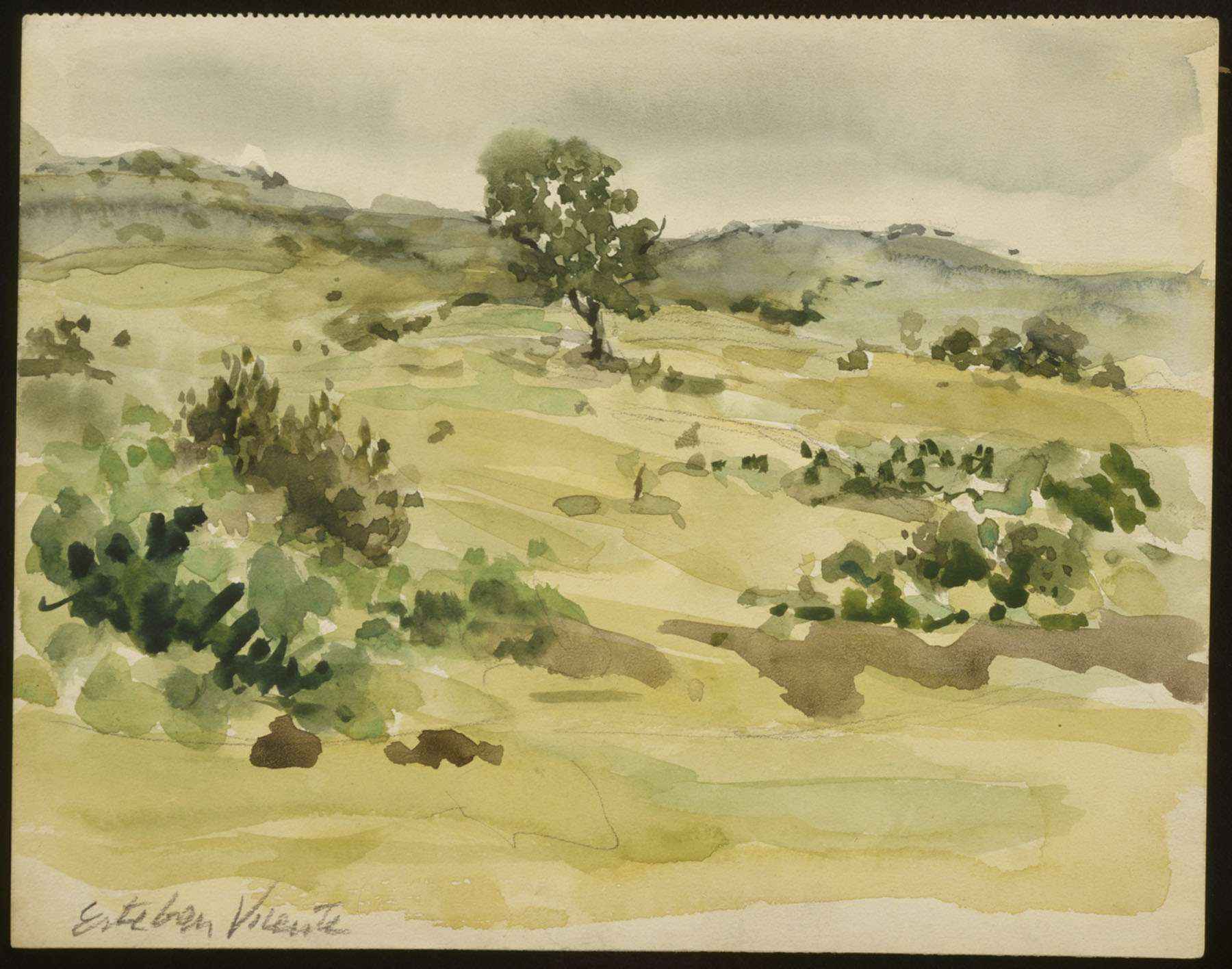 Untitled (Martha's Vineyard)